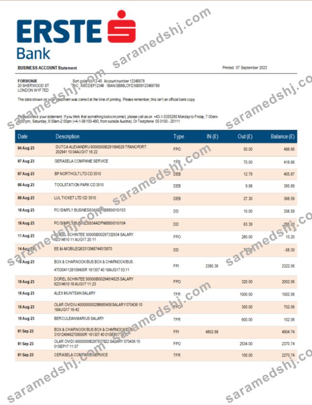 Erste Bank firm checking account statement Word and PDF template